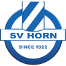 এসভি হর্ন