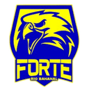 Forte FC
