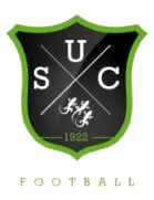 ইউএস শাতোনেফ সুর লোয়ার