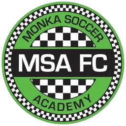 बिधाननगर MSA