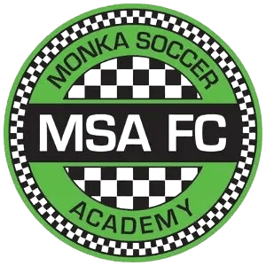 বিদ্যানগর এমএসএ