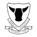 Ramhlun Athletic