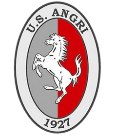 إس إس أنغري