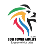 টাওয়ার হ্যামলেটস এফসি