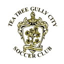 টি ট্রি গুলি সিটি