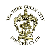 টি ট্রি গুলি সিটি