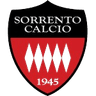 সোরেন্টো U19