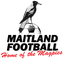 মেইটল্যান্ড এফসি মহিলা