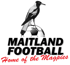 মেইটল্যান্ড এফসি মহিলা