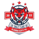 ওজোদু সিটি যুবক