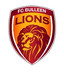Bulleen Lions U23