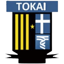 টোকাই বিশ্ববিদ্যালয়