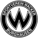 বার্গহাউসেন U১৯