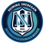 সুইনিং টিম