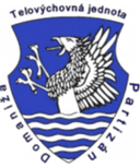 تي جي بارتيزان دومانيزا