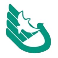 সাউথ চায়না নরমাল ইউনিভার্সিটি হাই স্কুল U১৩