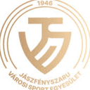 جاشفينيسزاروي