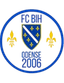 BiH Odense
