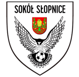 सोकॉल स्लोपनीसे