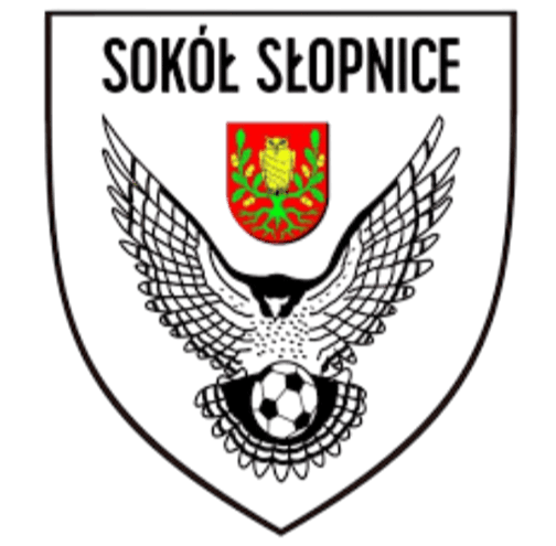 সোকল স্লোপনিসে