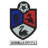 गॉसनल्स सिटी