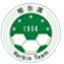 Heilongjiang Harbin Football Team