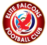 এলিট ফ্যালকনস এফসি