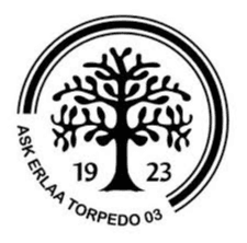 ASK Erlaa Torpedo 03