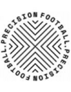 প্রিসিশন এফসি