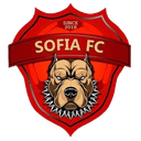 اسم فريق كرة القدم أودار ميانشي