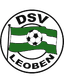 ডিএসভি লিওবেন