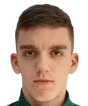 مارتن فردولياك