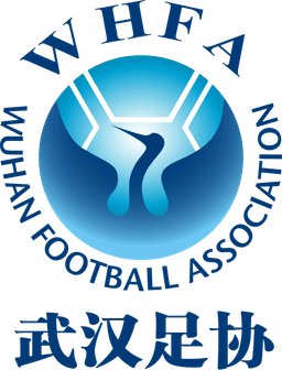 উহান মেনস্ U১৩ উহান মেনস্ U১৩